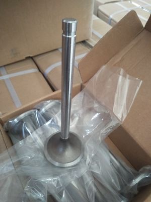 MAN D2866 Intake And Exhaust Valves Nitriding Engine Exhaust Valve
