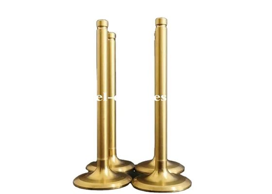TD60 Inlet Exhaust Valve Customized Diesel Exhaust Valve With 21-2N