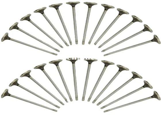 Deutz TCD2012 Intake Exhaust Valves D6e Engine 04285985 04285986