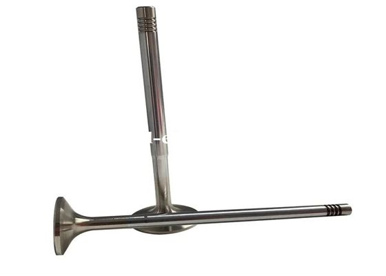 TD60 Inlet Exhaust Valve Customized Diesel Exhaust Valve With 21-2N