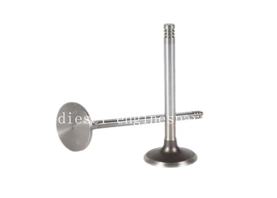 Deutz TCD2012 Intake Exhaust Valves D6e Engine 04285985 04285986