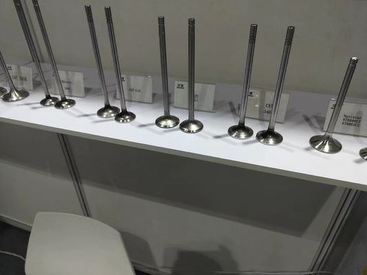 Silent Operation D13 Intake Valves And Exhaust Valves Standard 50dB Noise Level
