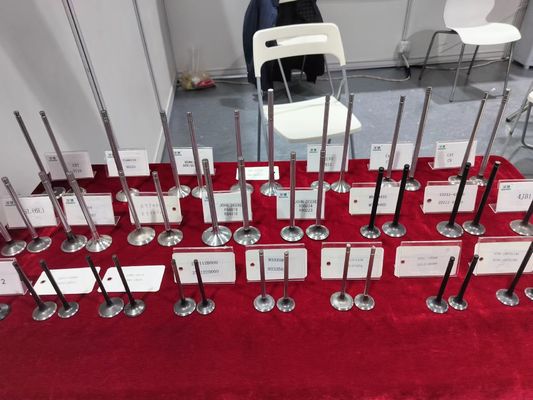 Silent Operation D13 Intake Valves And Exhaust Valves Standard 50dB Noise Level